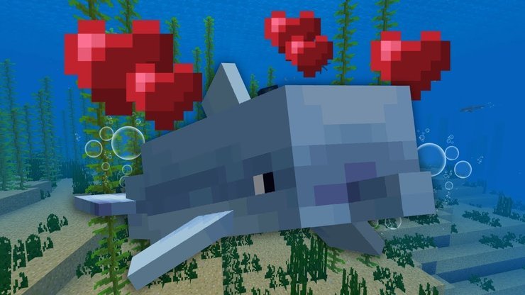 How To Tame A Dolphin In Minecraft &  Ride It