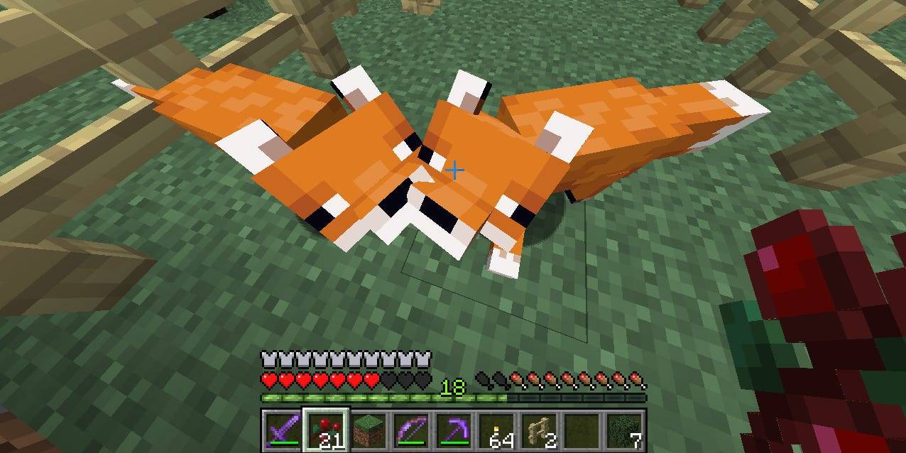 How to tame a fox in
