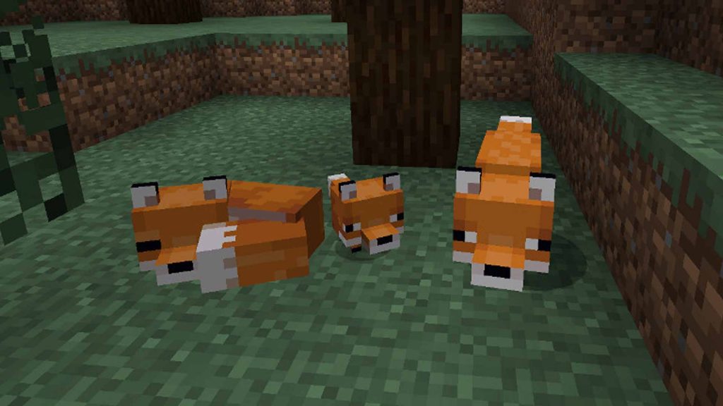 How to Tame a Fox in Minecraft {Step By Step Guide}