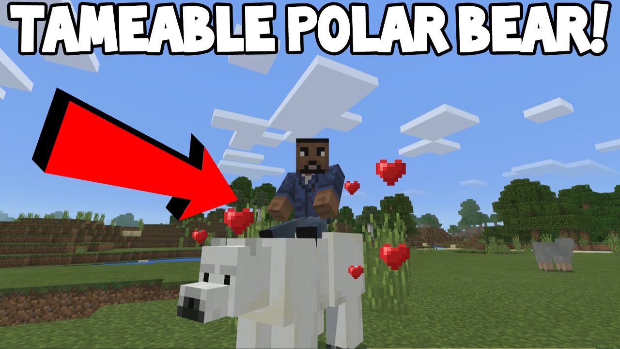 How to Tame a Polar Bear in Minecraft Pocket Edition ...
