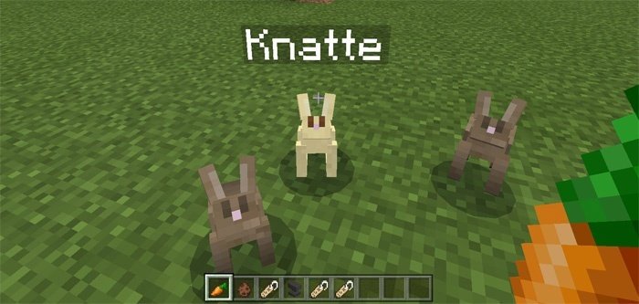 How To Tame A Rabbit In Minecraft