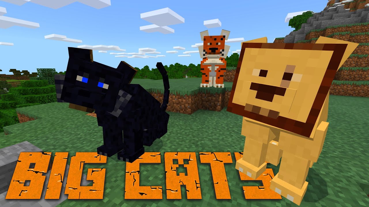 How To Tame A Saber Cat In Minecraft