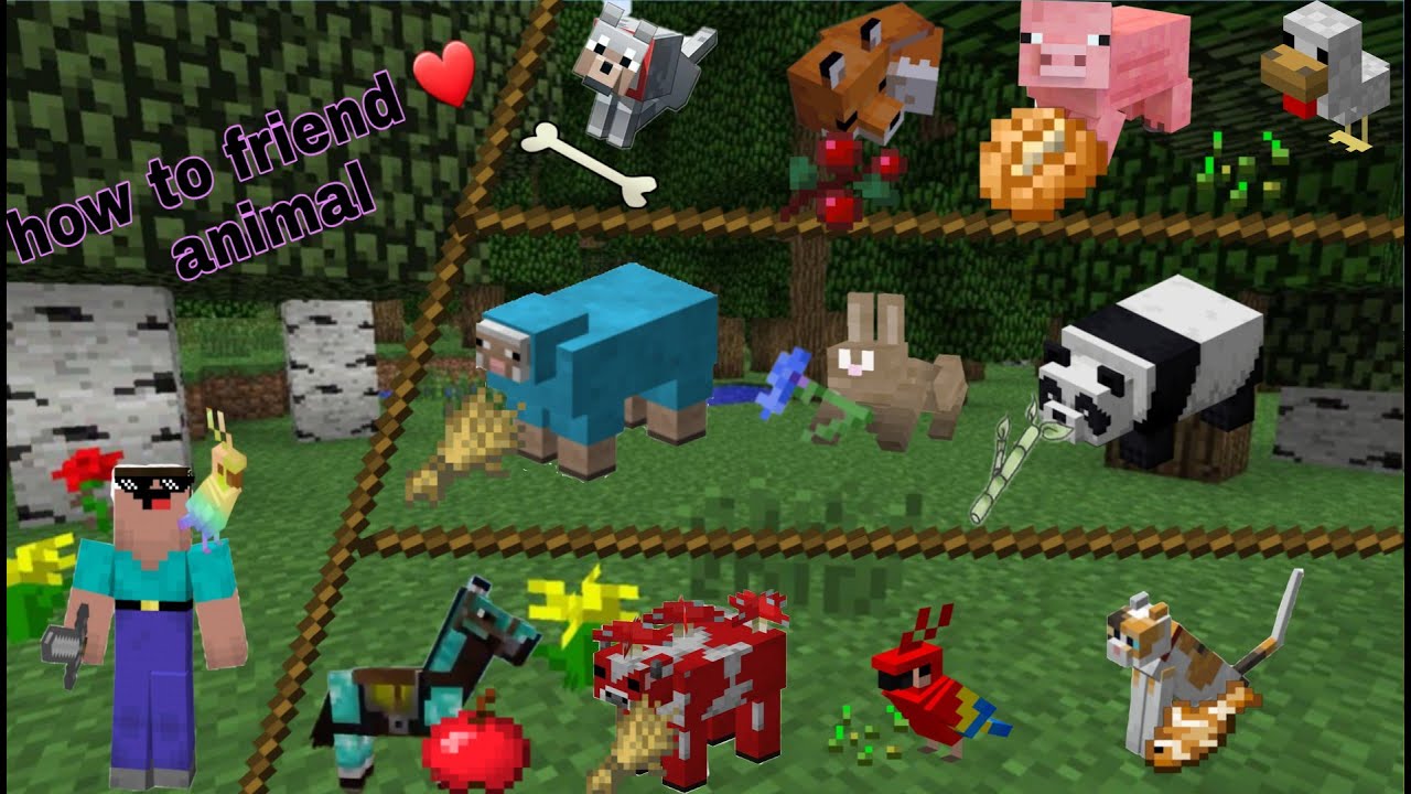 How to tame and breed all animal in minecraft ð?·ð?¼ð??