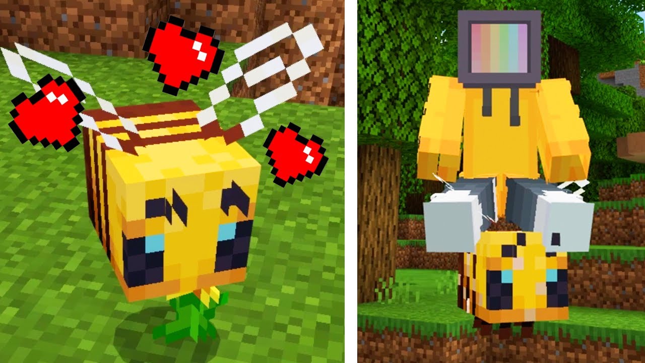 HOW TO TAME AND RIDE BEES IN MINECRAFT !!!