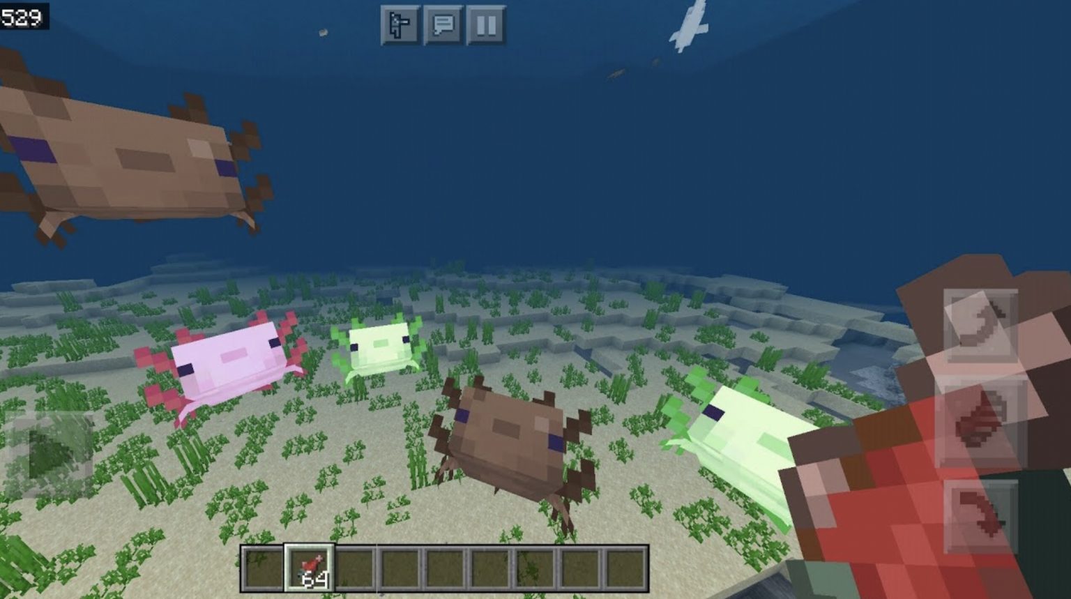How To Tame Axolotls In Minecraft 1.17: Where to Find ...