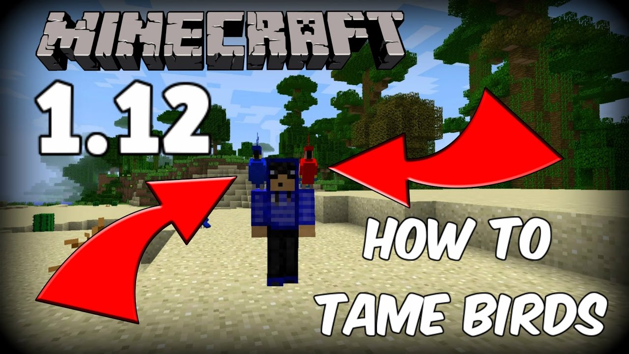 How to Tame Parrots in Minecraft 1.12! (PLEASE READ ...