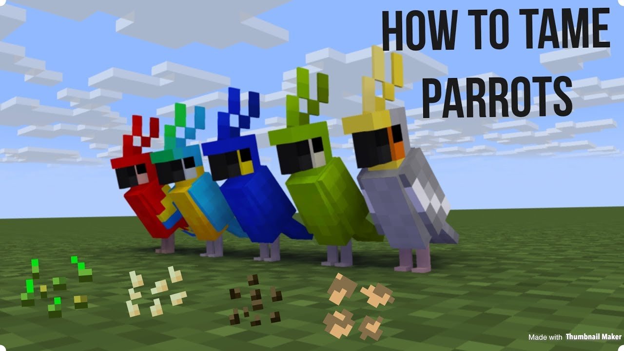 How to tame parrots in Minecraft PE tutorial