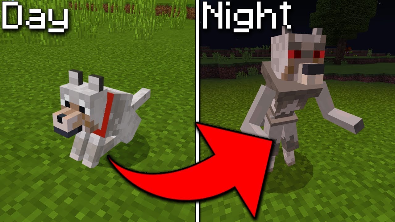 How To Turn a Wolf Into a Werewolf in Minecraft Pocket ...