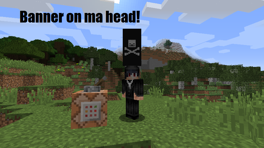 How to wear a Banner on Your head (minecraft 1.8 ...