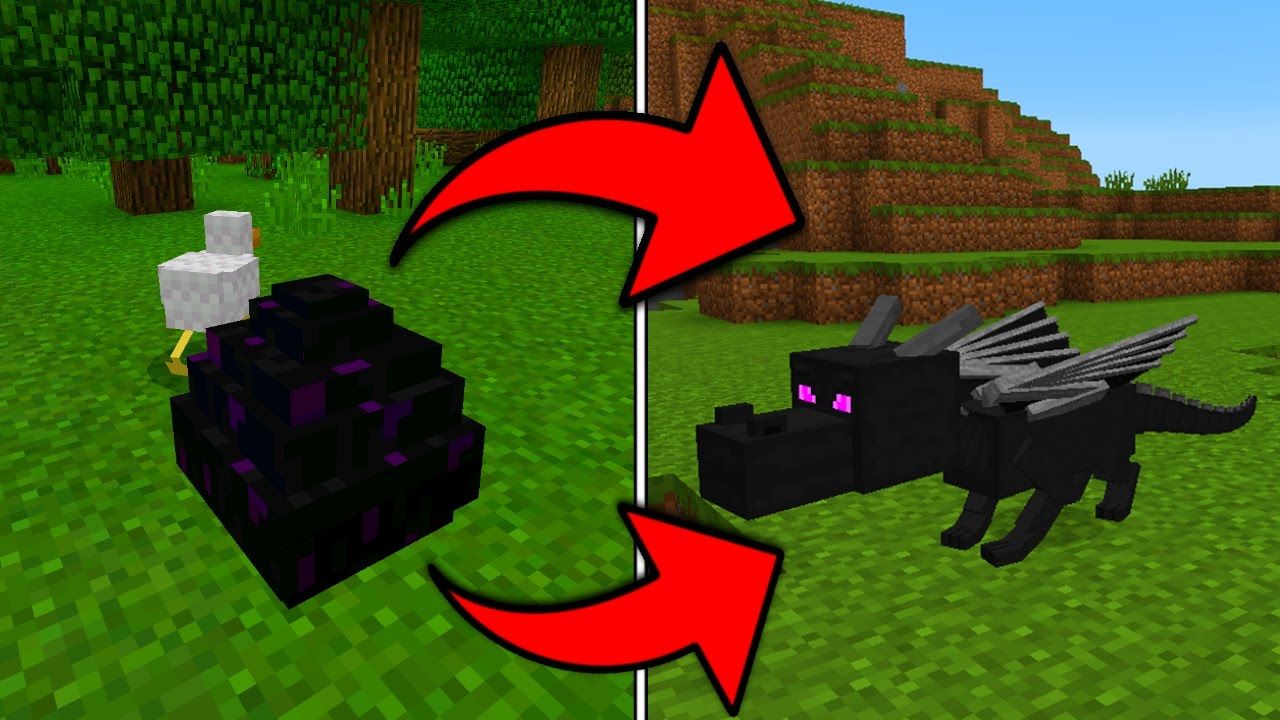 I liked How To Hatch the Ender Dragon Egg in Minecraft Pocket Edition ...