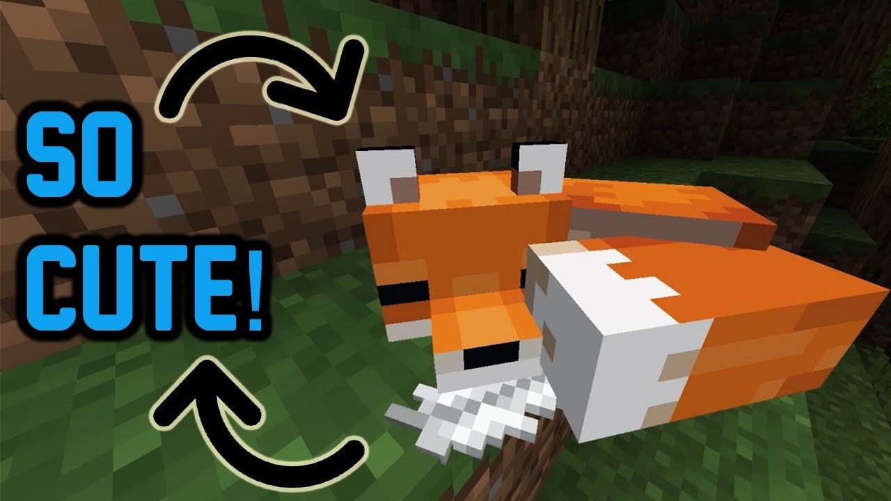 I tamed a Fox in Minecraft