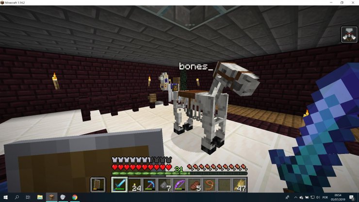 In Minecraft What Do Horses Eat