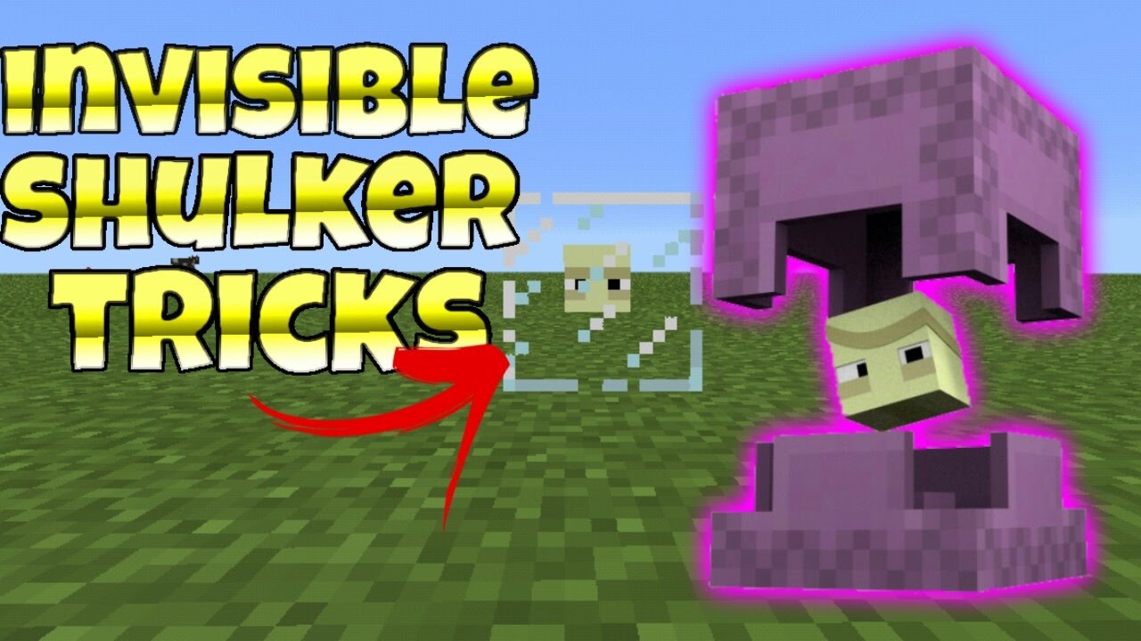 invisible Shulker Trick in Minecraft Pe