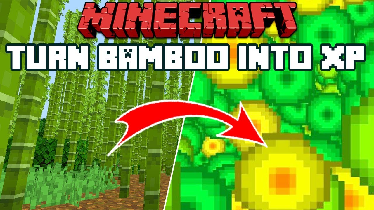 Mejor granja de bambú en Minecraft