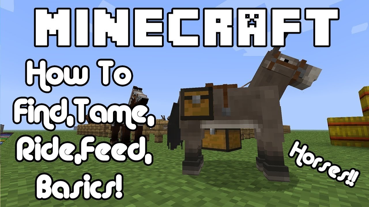 Minecraft could not find. Don't Feed a Horse you don't Ride mem.