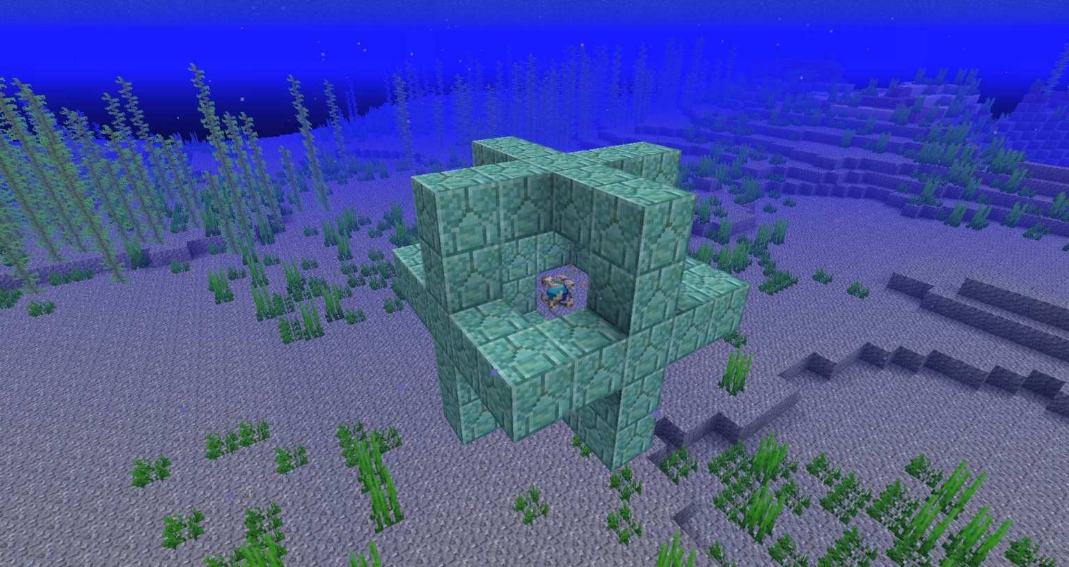 Minecraft: How to Get Nautilus Shells & What They