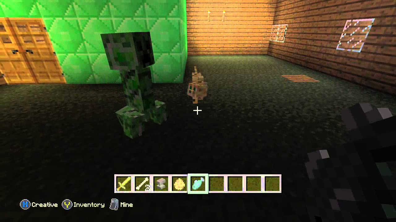 minecraft how to give your cat a name