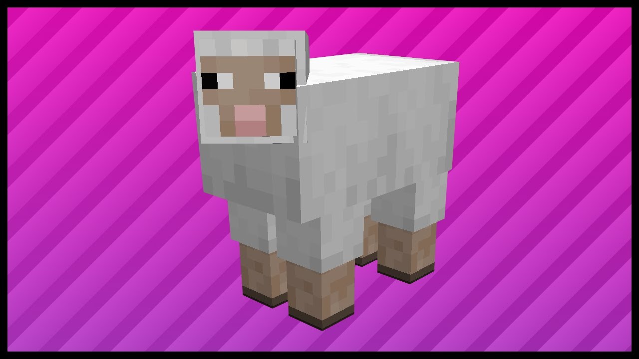 Minecraft Sheep: Where To Find Sheep In Minecraft?