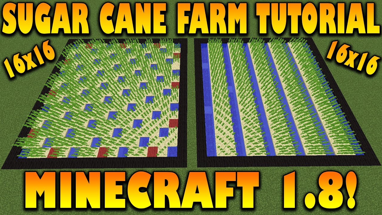 Minecraft: Sugar Cane Farm
