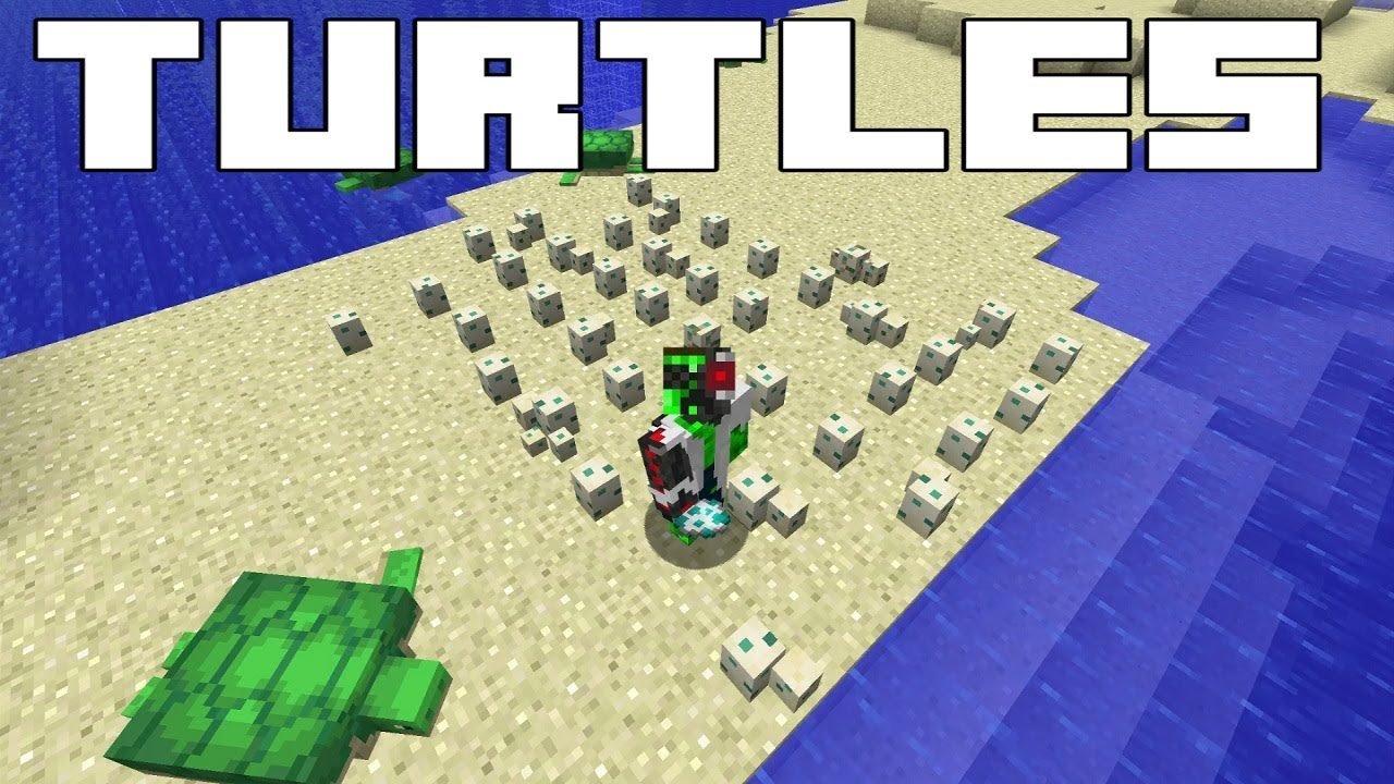 Minecraft Turtles