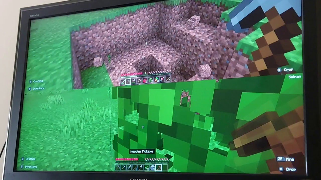 Minecraft two players