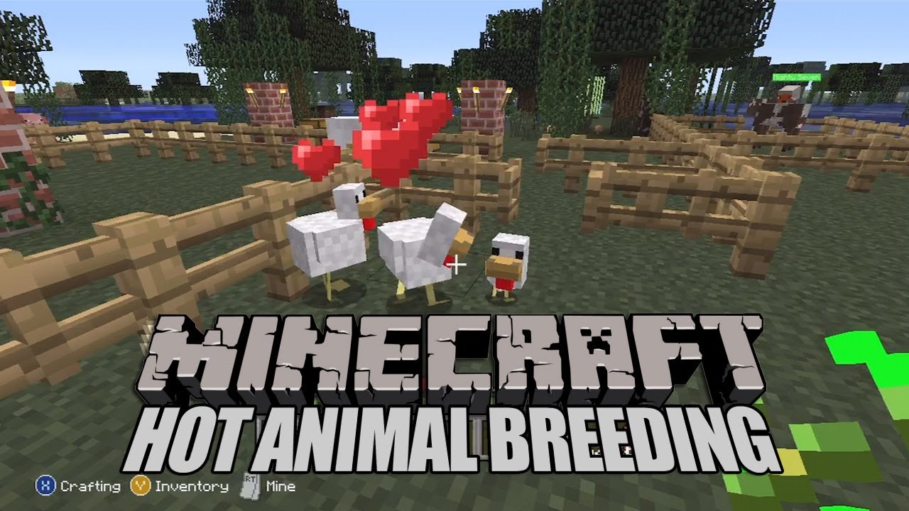 Minecraft Xbox Animal Breeding Challenge (How to Breed ...