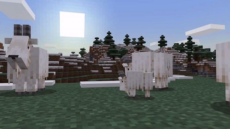 Mountain goats in Minecraft 1.17 version: All you need to ...