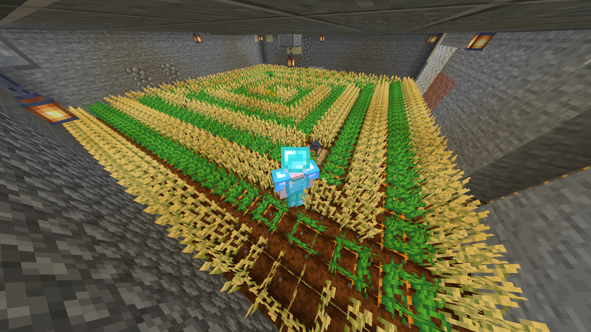 My new favorite way of planting crops : Minecraft
