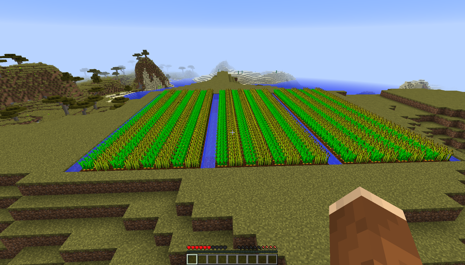 Plant your crops in rows for maximum growth : Minecraft