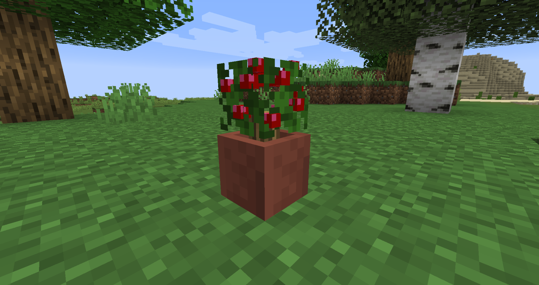 Potted Bushes