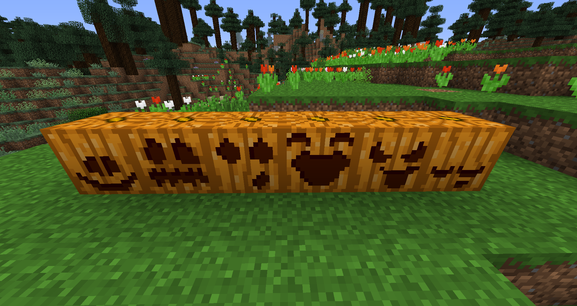 Pumpkin Carving! : Minecraft