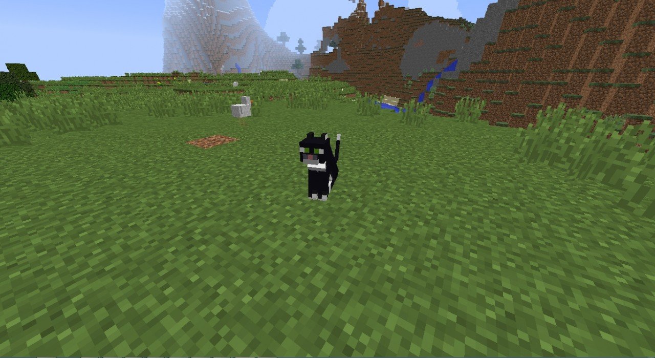 Summon Cats with Commands Minecraft Blog