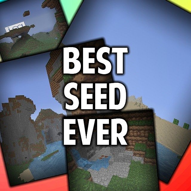 The BEST Seed EVER.