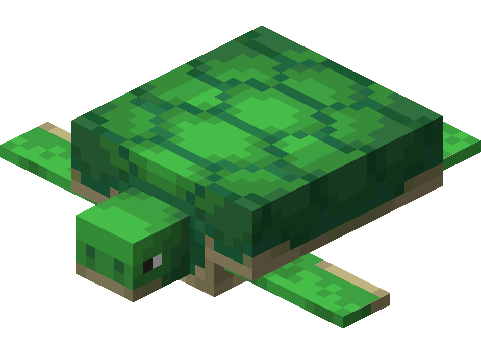Turtle â Official Minecraft Wiki