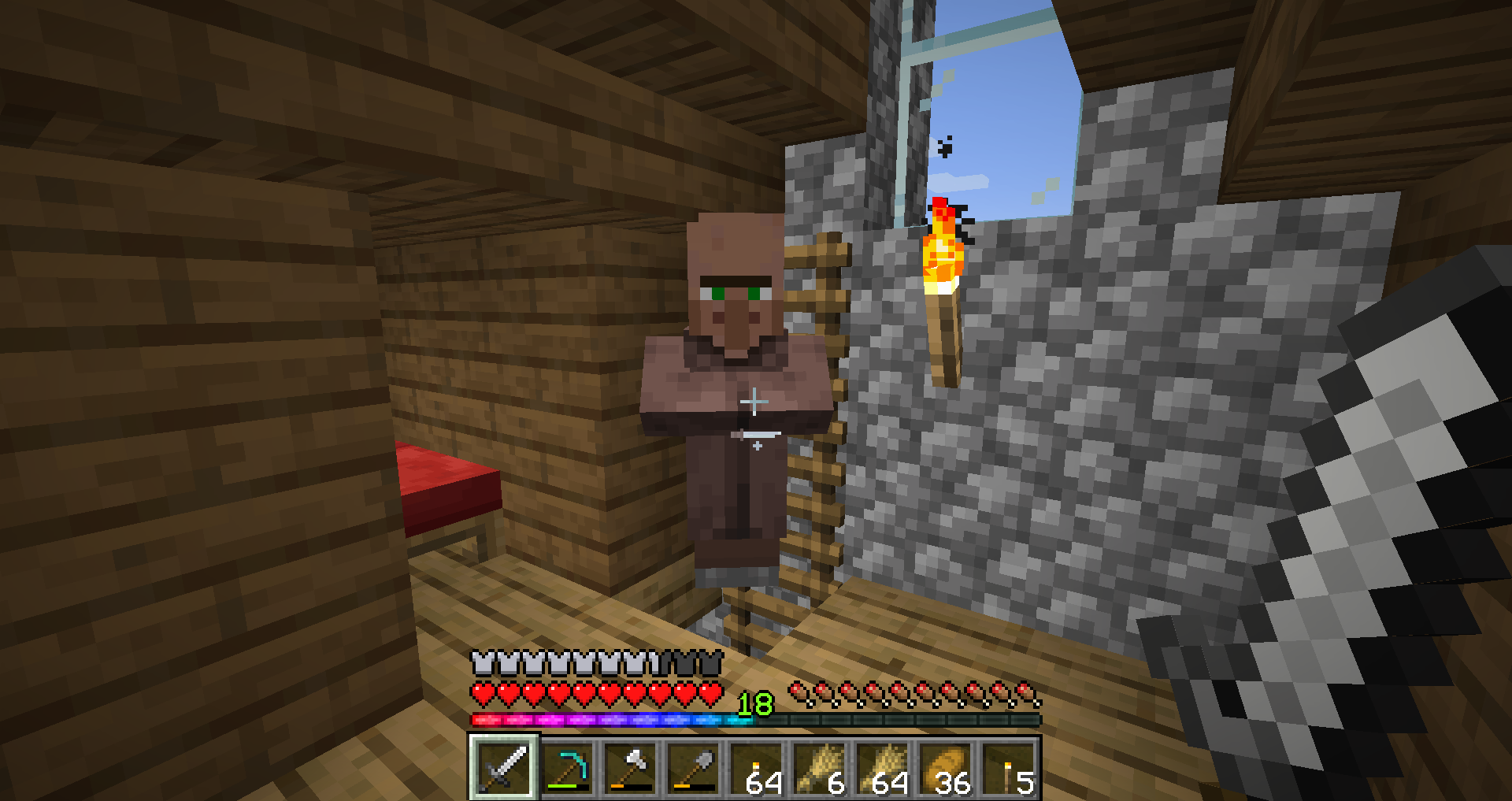Villager climbed a ladder to get to my bed at night super ...