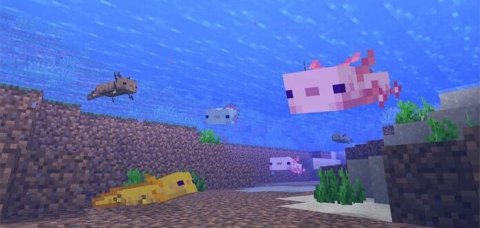 What do Axolotls Eat in Minecraft