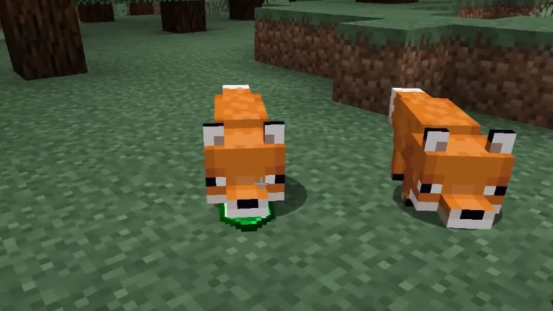 What Do Foxes Eat In Minecraft?