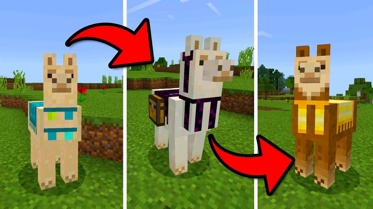 What Do Llamas Wear In Minecraft : All You Need To Know ...