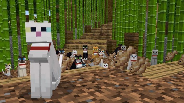 What is the easiest way to get a cat in Minecraft?