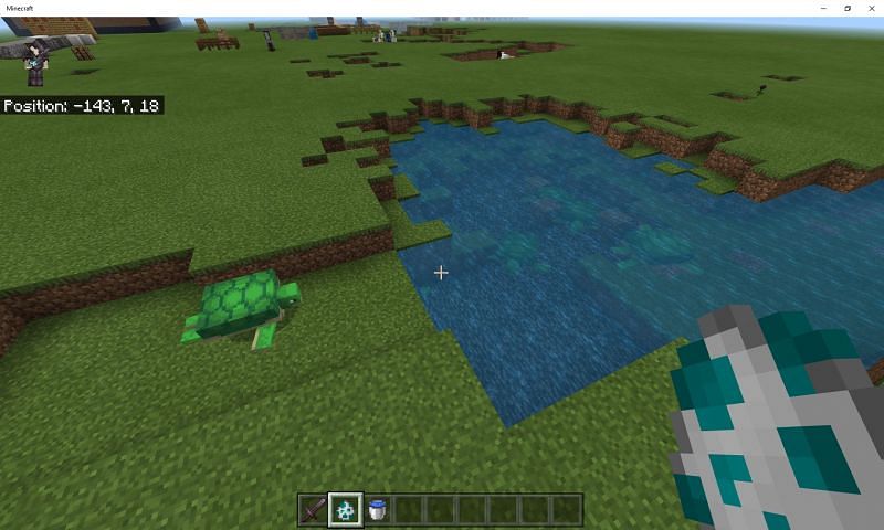 Where do turtles spawn in Minecraft?
