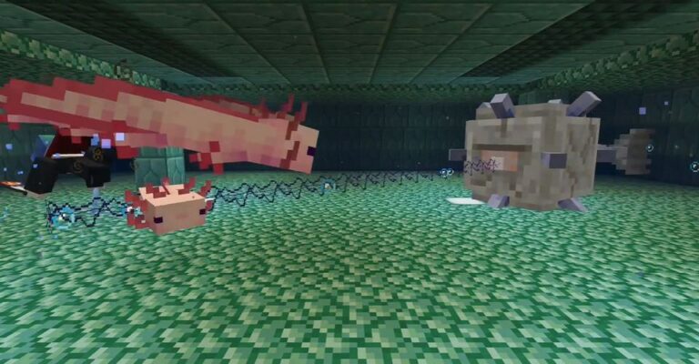 Where to Find New Axolotls in Minecraft (&  What Theyre ...